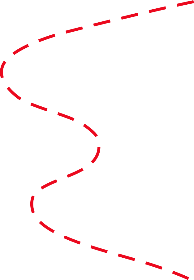 Toyota Hybrid Leadership