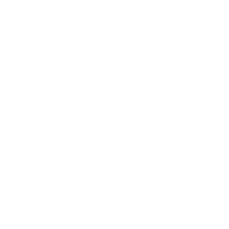 Toyota logo