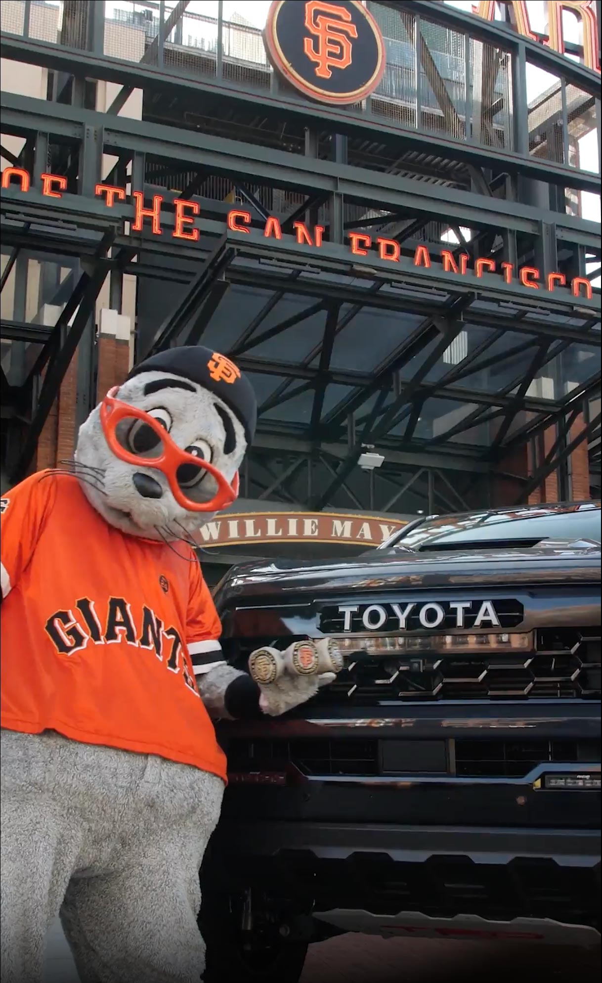 Lou Seal