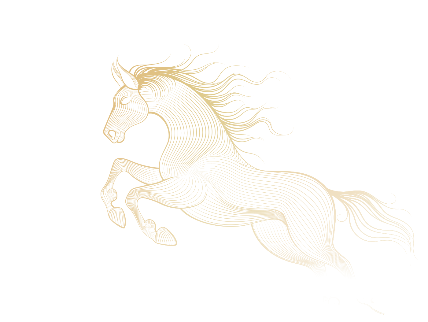 Toyota Lunar New Year header