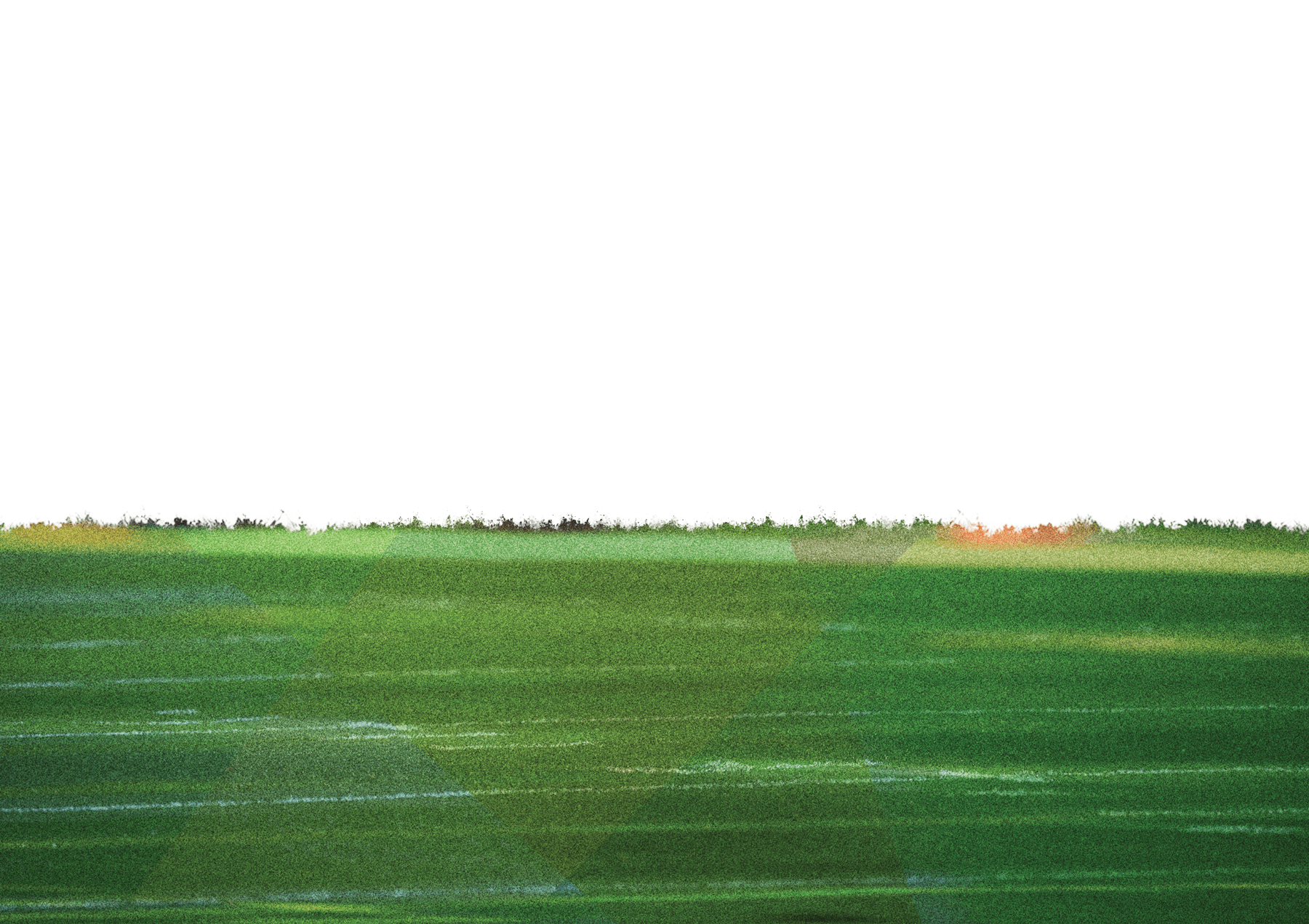 grass bg